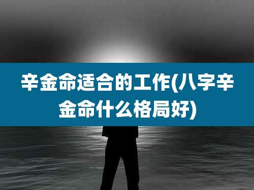 辛金命适合的工作(八字辛金命什么格局好)