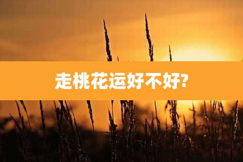 走桃花运好不好?