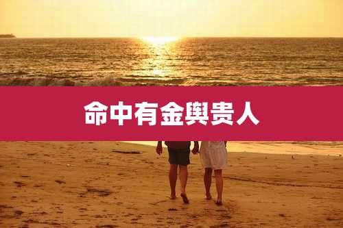 命中有金舆贵人