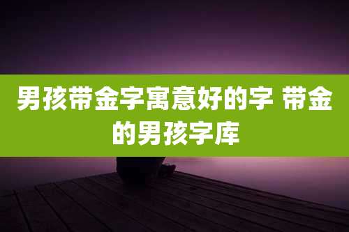男孩带金字寓意好的字 带金的男孩字库