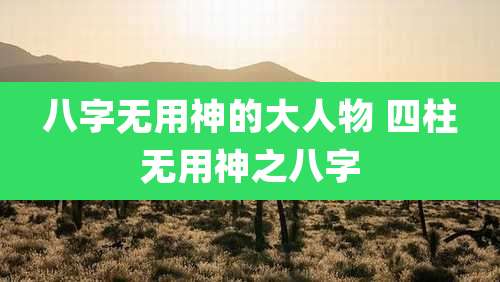 八字无用神的大人物 四柱无用神之八字