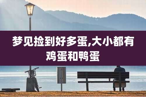 梦见捡到好多蛋,大小都有鸡蛋和鸭蛋