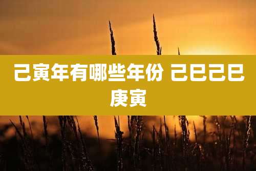 己寅年有哪些年份 己巳己巳庚寅