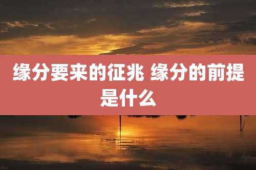 缘分要来的征兆 缘分的前提是什么