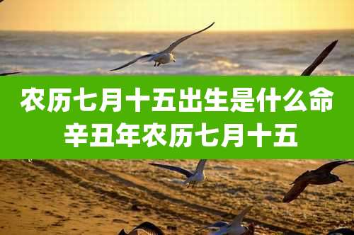 农历七月十五出生是什么命 辛丑年农历七月十五
