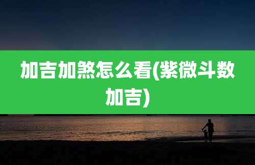 加吉加煞怎么看(紫微斗数加吉)
