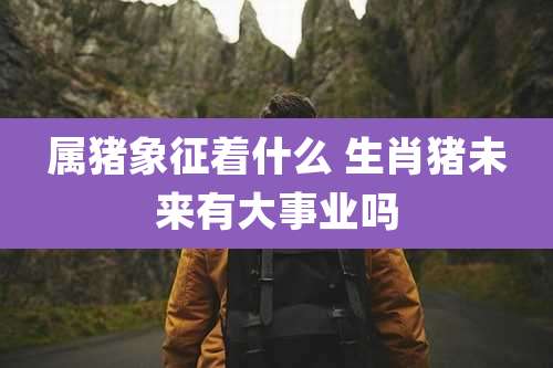 属猪象征着什么 生肖猪未来有大事业吗