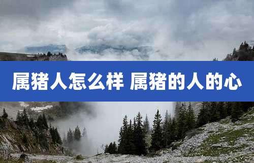 属猪人怎么样 属猪的人的心