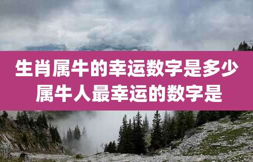 生肖属牛的幸运数字是多少 属牛人最幸运的数字是