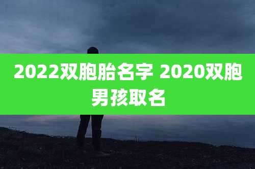 2022双胞胎名字 2020双胞男孩取名