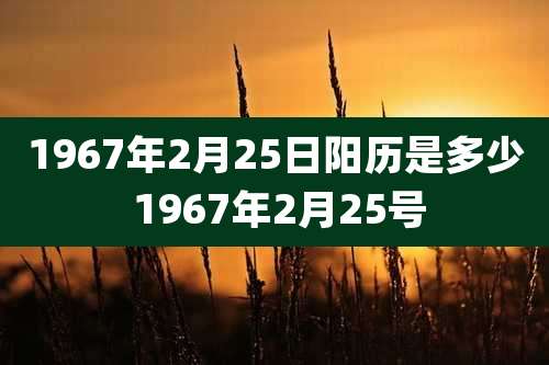 1967年2月25日阳历是多少 1967年2月25号