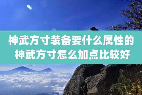 神武方寸装备要什么属性的 神武方寸怎么加点比较好