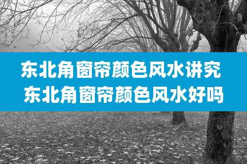 东北角窗帘颜色风水讲究 东北角窗帘颜色风水好吗