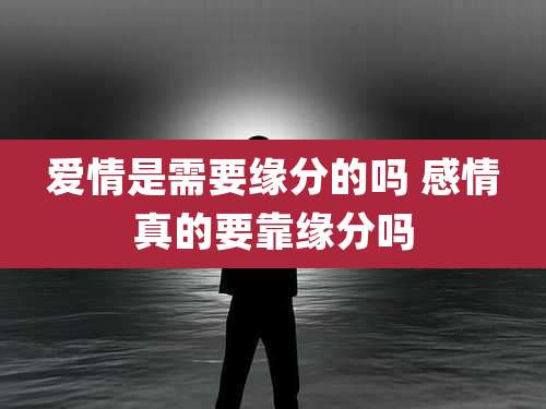 爱情是需要缘分的吗 感情真的要靠缘分吗
