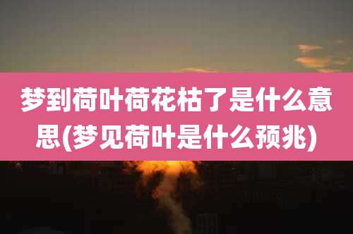 梦到荷叶荷花枯了是什么意思(梦见荷叶是什么预兆)