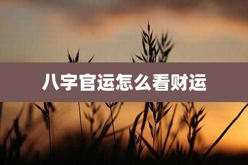 八字官运怎么看财运