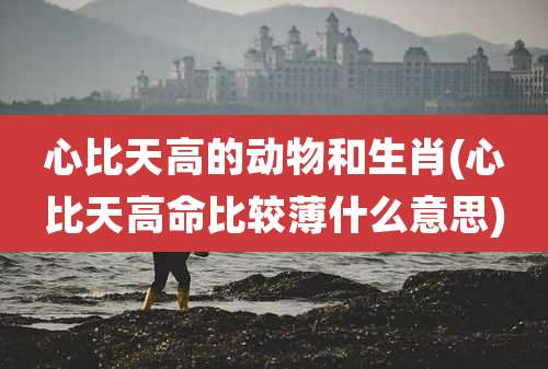 心比天高的动物和生肖(心比天高命比较薄什么意思)