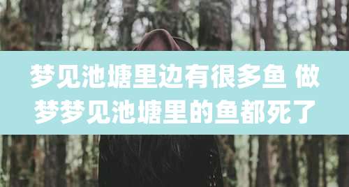 梦见池塘里边有很多鱼 做梦梦见池塘里的鱼都死了