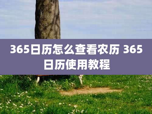 365日历怎么查看农历 365日历使用教程