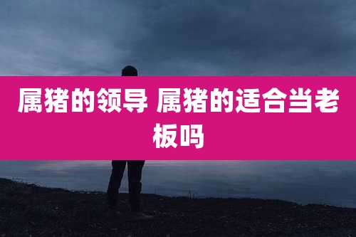 属猪的领导 属猪的适合当老板吗