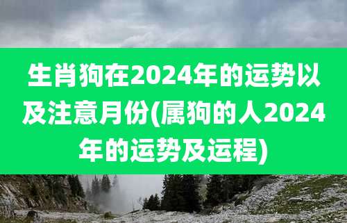 生肖狗在2024年的运势以及注意月份(属狗的人2024年的运势及运程)