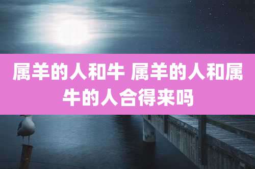 属羊的人和牛 属羊的人和属牛的人合得来吗