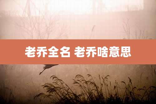 老乔全名 老乔啥意思