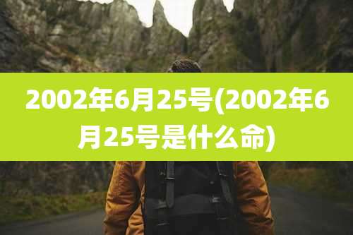 2002年6月25号(2002年6月25号是什么命)