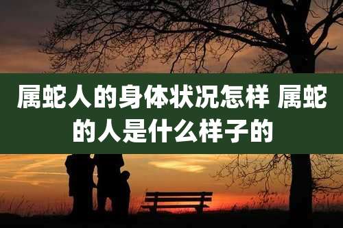 属蛇人的身体状况怎样 属蛇的人是什么样子的