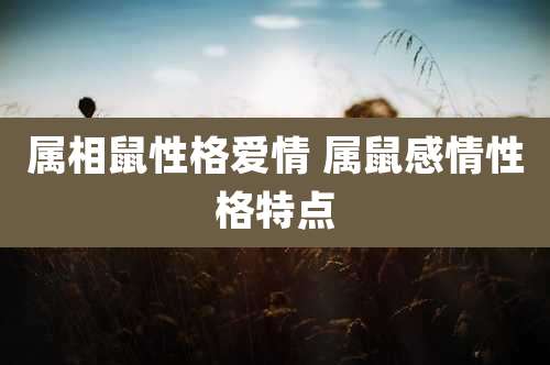 属相鼠性格爱情 属鼠感情性格特点