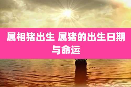 属相猪出生 属猪的出生日期与命运