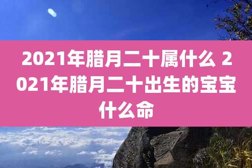 2021年腊月二十属什么 2021年腊月二十出生的宝宝什么命