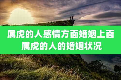 属虎的人感情方面婚姻上面 属虎的人的婚姻状况