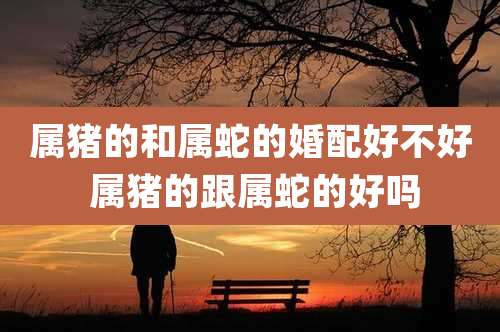 属猪的和属蛇的婚配好不好 属猪的跟属蛇的好吗