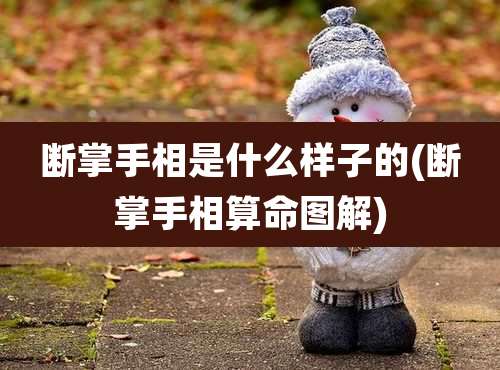 断掌手相是什么样子的(断掌手相算命图解)