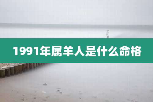 1991年属羊人是什么命格