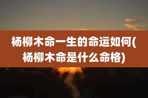 杨柳木命一生的命运如何(杨柳木命是什么命格)