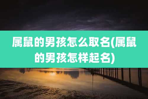 属鼠的男孩怎么取名(属鼠的男孩怎样起名)
