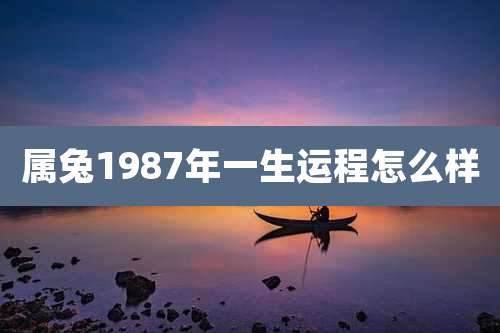 属兔1987年一生运程怎么样