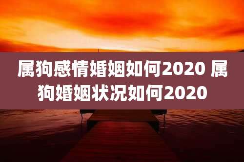 属狗感情婚姻如何2020 属狗婚姻状况如何2020