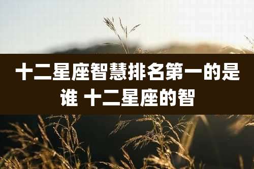 十二星座智慧排名第一的是谁 十二星座的智