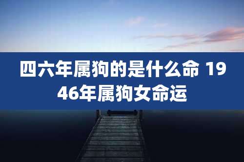 四六年属狗的是什么命 1946年属狗女命运