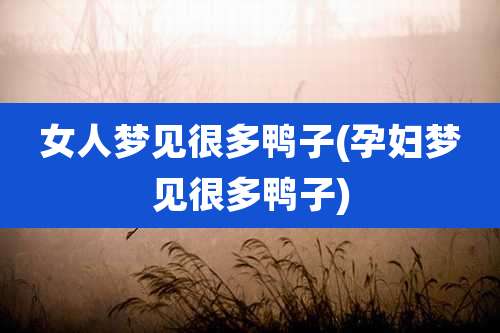 女人梦见很多鸭子(孕妇梦见很多鸭子)