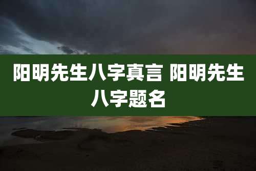 阳明先生八字真言 阳明先生八字题名