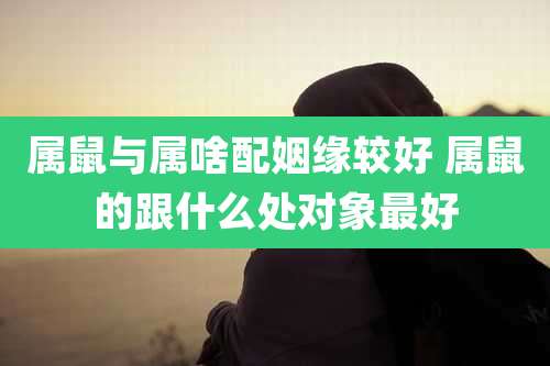 属鼠与属啥配姻缘较好 属鼠的跟什么处对象最好