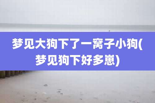 梦见大狗下了一窝子小狗(梦见狗下好多崽)