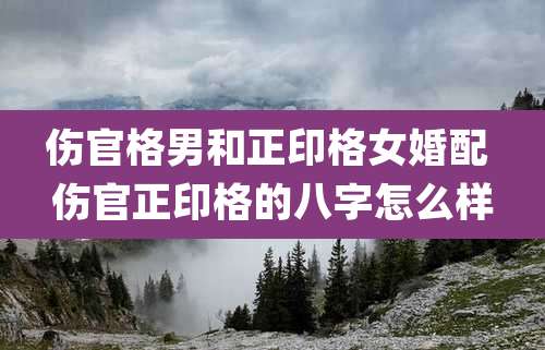 伤官格男和正印格女婚配 伤官正印格的八字怎么样