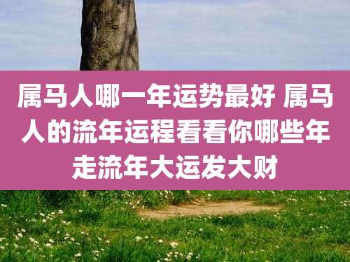 属马人哪一年运势最好 属马人的流年运程看看你哪些年走流年大运发大财