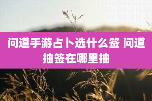 问道手游占卜选什么签 问道抽签在哪里抽