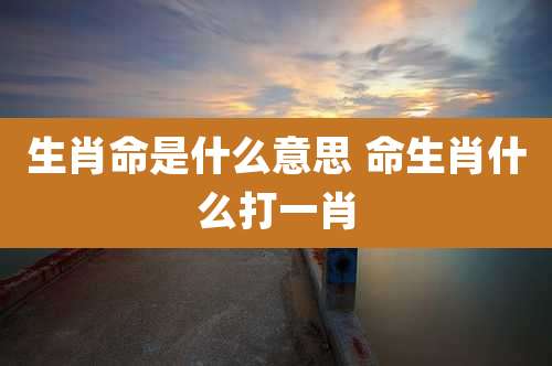 生肖命是什么意思 命生肖什么打一肖